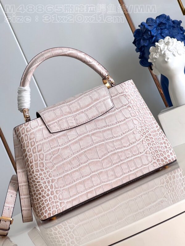 Louis Vuitton Capucines Medium Handbag