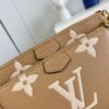 Louis Vuitton Multi Pochette Accessoires