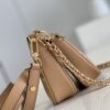 Louis Vuitton Multi Pochette Accessoires