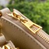 Louis Vuitton Multi Pochette Accessoires