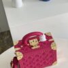 Louis Vuitton Petite Valise