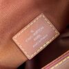Louis Vuitton  Micro Steamer