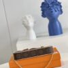 Louis Vuitton  Easy Pouch On Strap Handbag