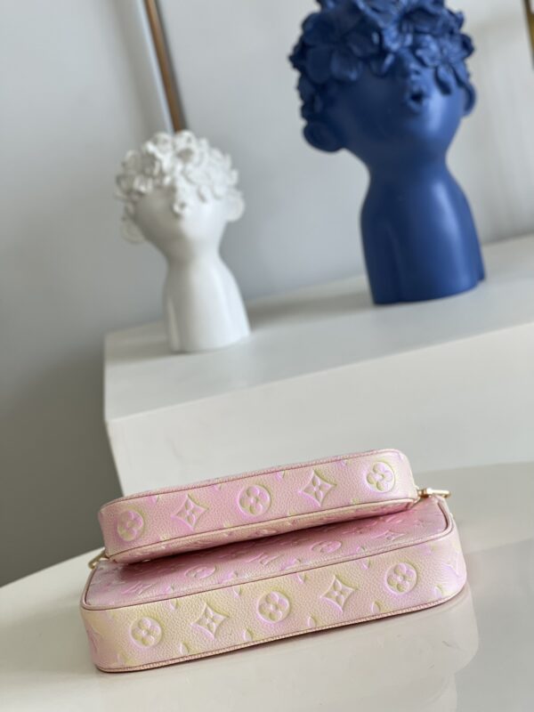 Louis Vuitton  Multi Pochette Accessories