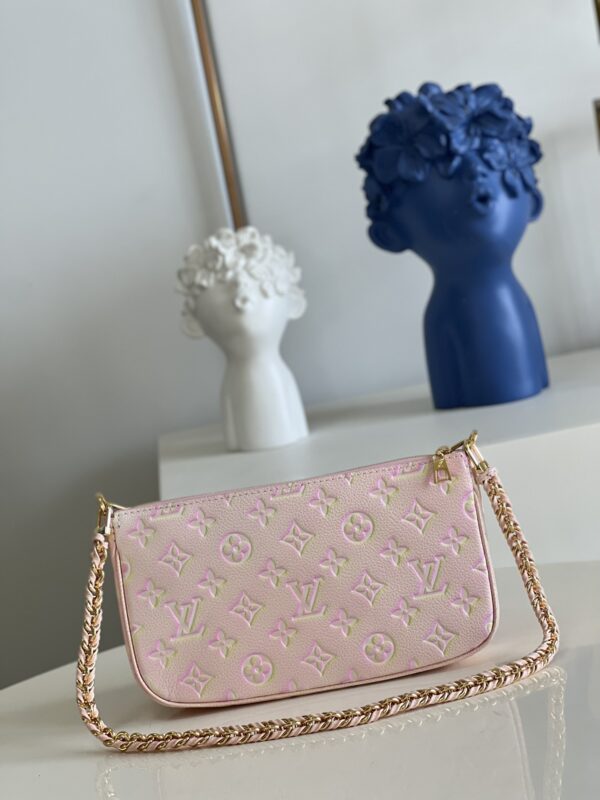 Louis Vuitton  Multi Pochette Accessories