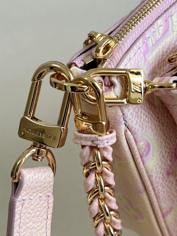 Louis Vuitton  Multi Pochette Accessories