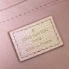 Louis Vuitton  Multi Pochette Accessories