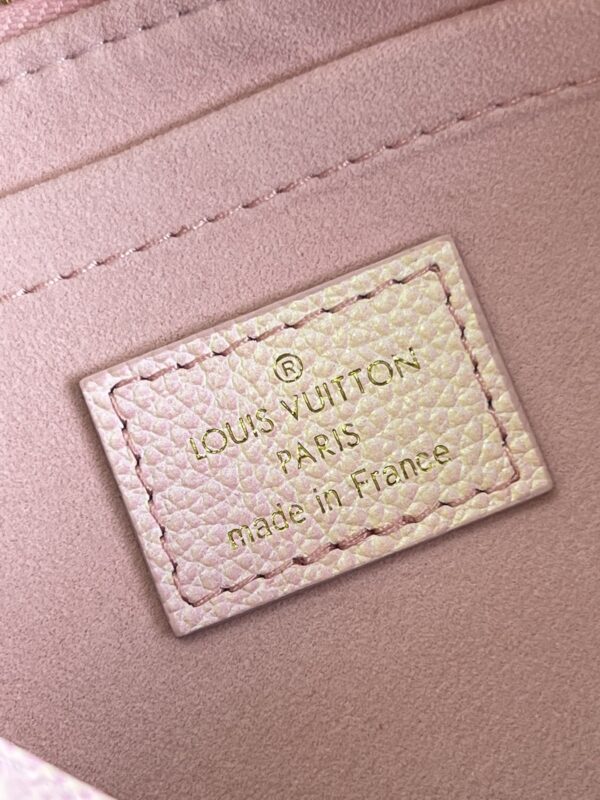 Louis Vuitton  Multi Pochette Accessories