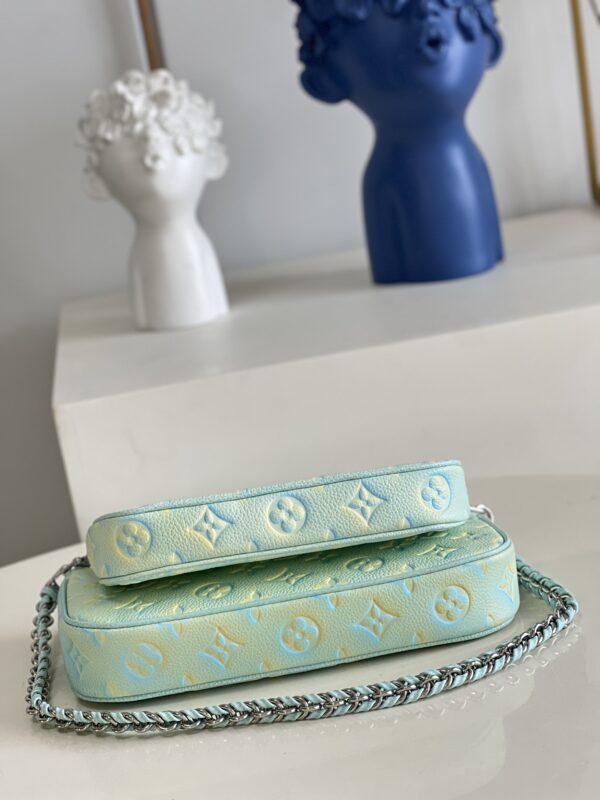 Louis Vuitton  Multi Pochette Accessories