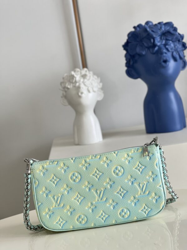 Louis Vuitton  Multi Pochette Accessories