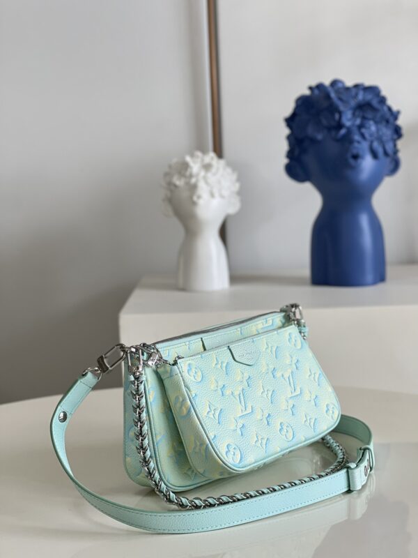 Louis Vuitton  Multi Pochette Accessories