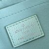 Louis Vuitton  Multi Pochette Accessories
