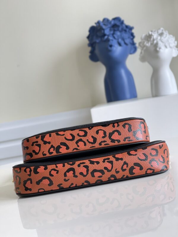 Louis Vuitton Multi Pochette Accessories
