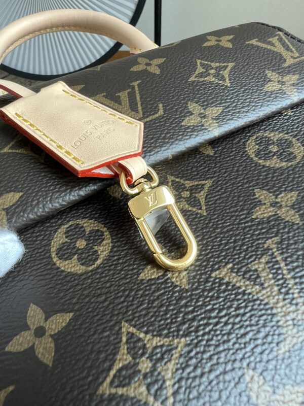 Louis Vuitton Cluny Mini