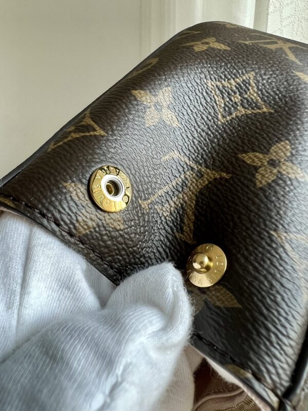 Louis Vuitton Cluny Mini