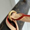 Louis Vuitton Cluny Mini