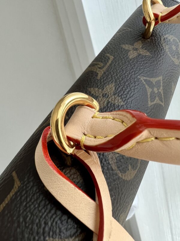 Louis Vuitton Cluny Mini