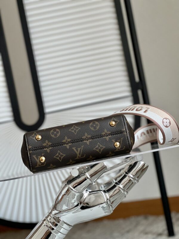 Louis Vuitton Cluny Mini