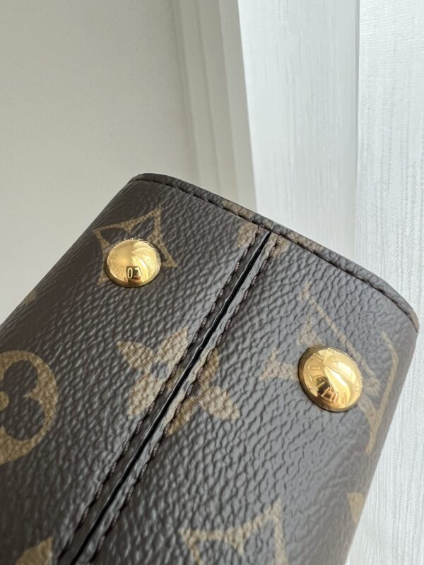 Louis Vuitton Cluny Mini