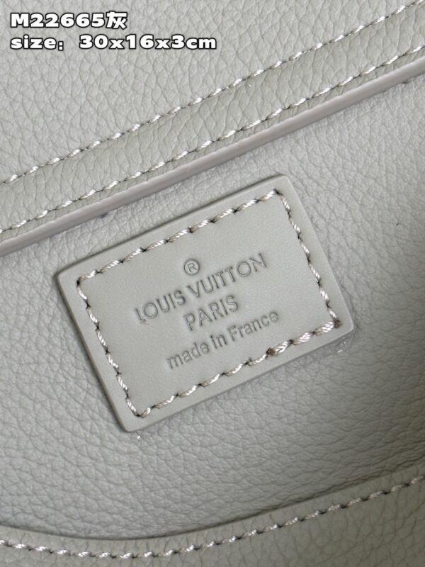 Louis Vuitton Takeoff Slingbag