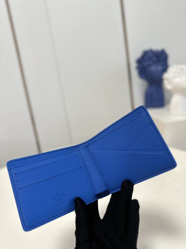 Louis Vuitton Multiple Wallet