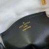 Louis Vuitton Pico GO-14