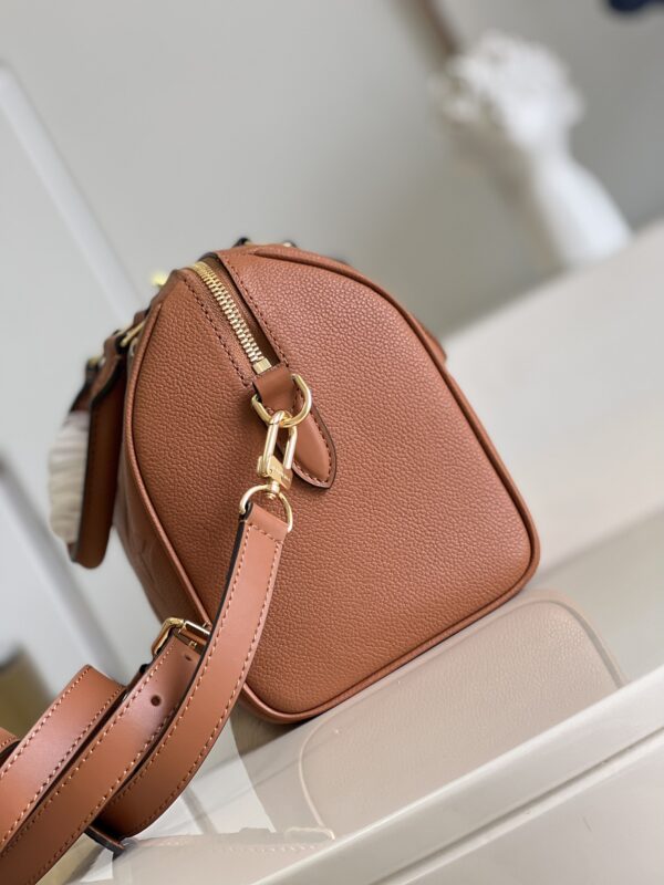 Louis Vuitton Speedy Bandoulière 25