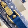 Louis Vuitton Danube Shoulder Bag