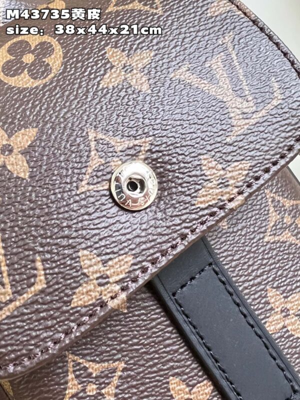 Louis Vuitton Christopher PM