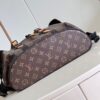 Louis Vuitton Christopher PM
