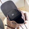 Louis Vuitton Christopher PM