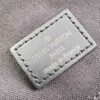 Louis Vuitton Christopher PM