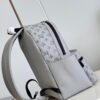Louis Vuitton Discovery Backpack