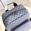 Louis Vuitton Dean Backpack