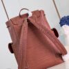 Louis Vuitton Christopher Medium Backpack