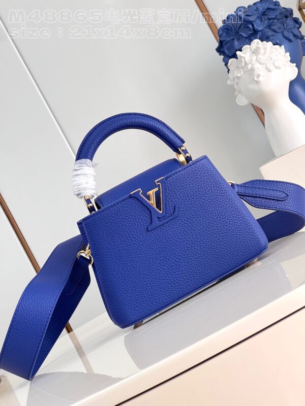 Louis Vuitton Capucines Mini Bag