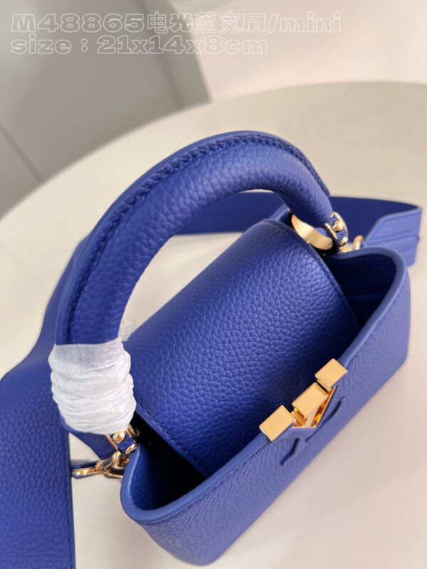 Louis Vuitton Capucines Mini Bag