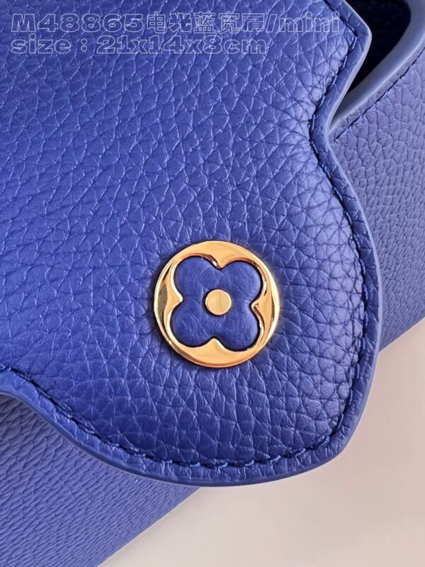 Louis Vuitton Capucines Mini Bag