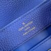 Louis Vuitton Capucines Mini Bag