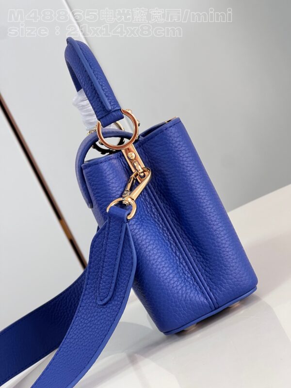Louis Vuitton Capucines Mini Bag
