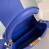 Louis Vuitton Capucines Mini Bag