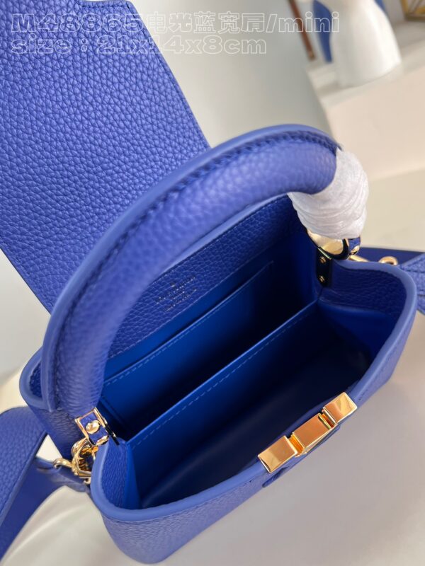 Louis Vuitton Capucines Mini Bag