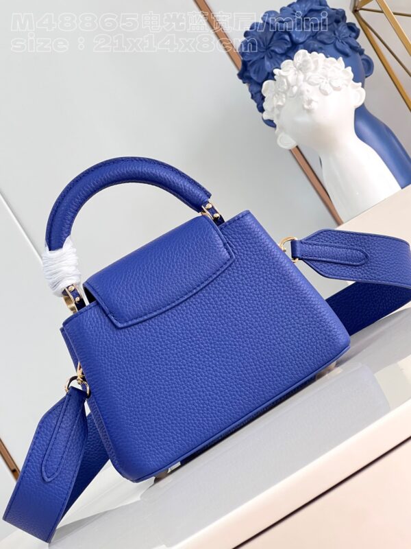Louis Vuitton Capucines Mini Bag