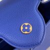 Louis Vuitton Capucines BB Handbag