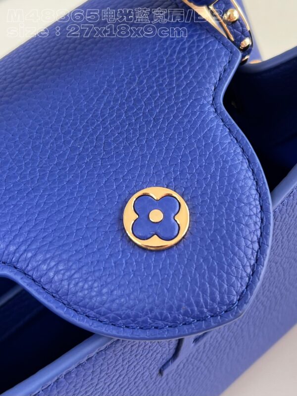 Louis Vuitton Capucines BB Handbag