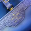 Louis Vuitton Capucines BB Handbag