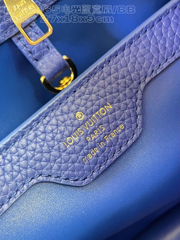 Louis Vuitton Capucines BB Handbag