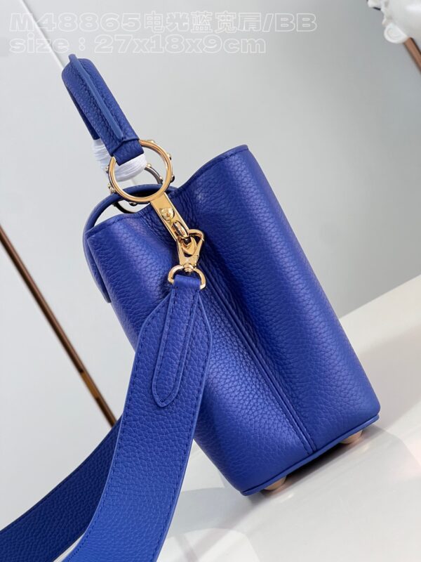 Louis Vuitton Capucines BB Handbag