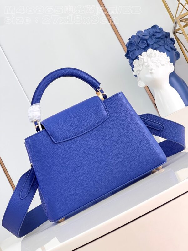 Louis Vuitton Capucines BB Handbag
