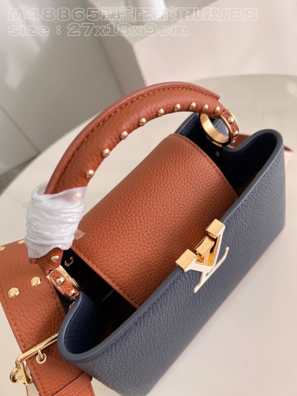 Louis Vuitton Capucines BB Handbag